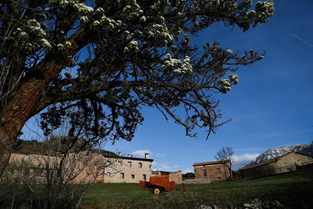 Preciosa Casa Rural Cal Jaumet Cava Εξωτερικό φωτογραφία